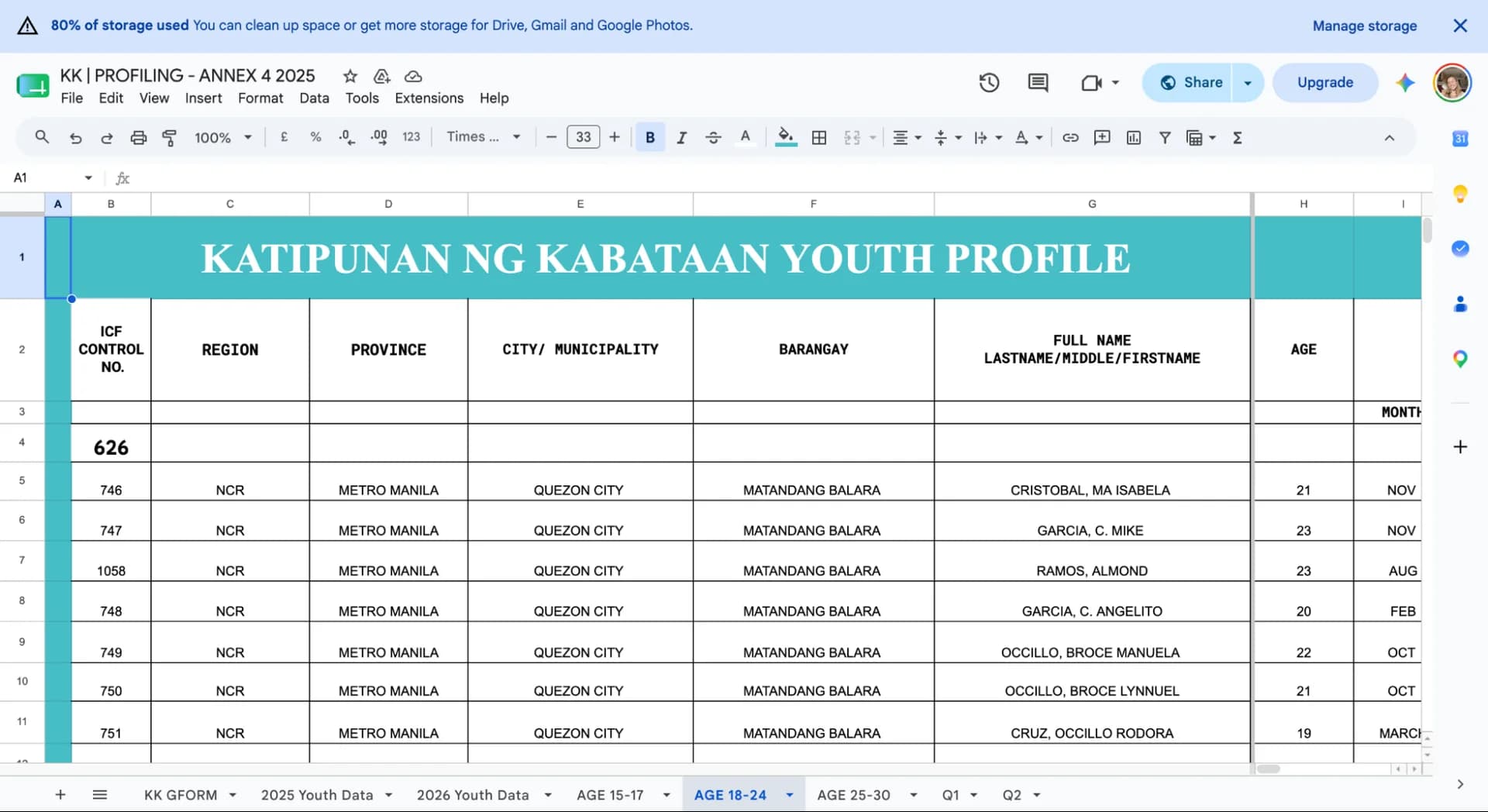 Katipunan ng Kabataan youth profile spreadsheet used to encode and organize profiling data
